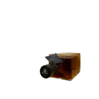 Thumbnail of Top