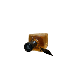 Thumbnail of Top